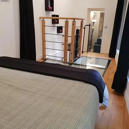 Jardin En Coeur De Appartement Nantes